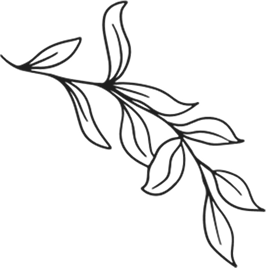 image 5 top