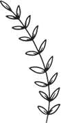 image 9 bottom
